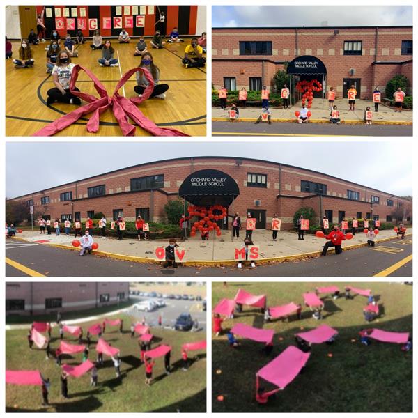 ov red ribb collage 